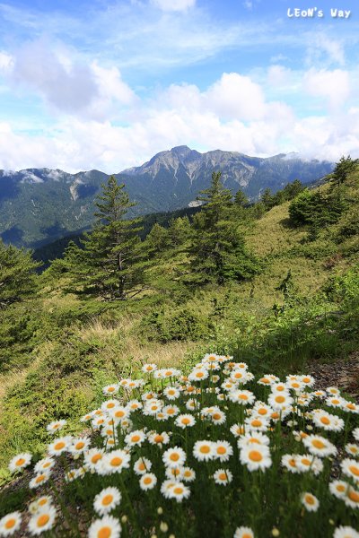 合歡越嶺古道‧赤松段1889423