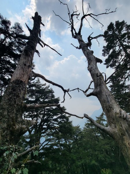 2026-0417-玉山圓夢二天一夜3085310