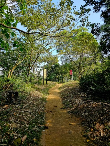 龍過脈森林步道-(雲林)臺灣百大必訪步道2661230