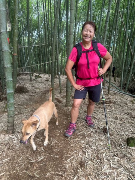溪頭山、竹崙山、志騰山、妖怪村2877881