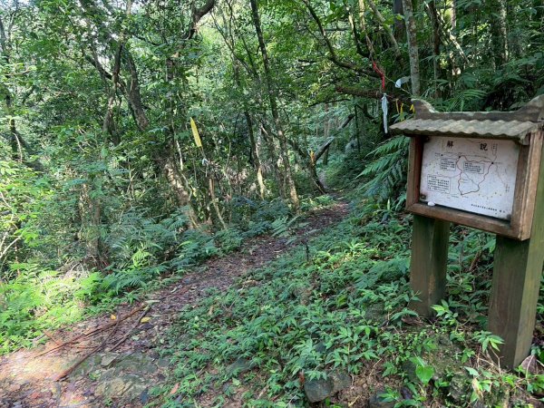 虎豹雙棲越野17K複習跑-part23072607
