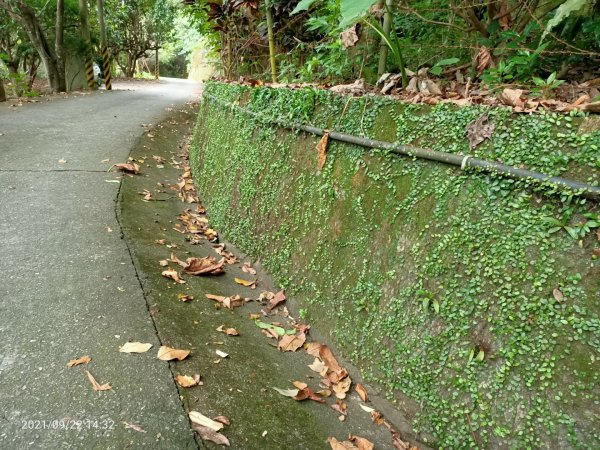 鯉魚山遠眺步道(北路)1465920