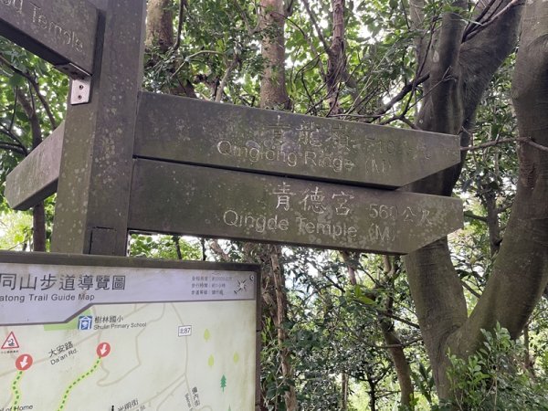 【大棟山系】405高地段2844914