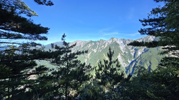 20240629-0630 嘉明湖步道+三叉山+向陽山2619570