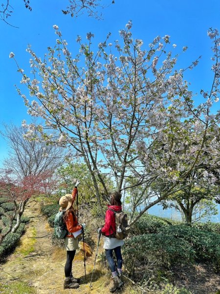 溪頭六連峰O繞2741801