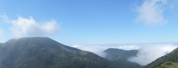 再見陽明山雲海1178666