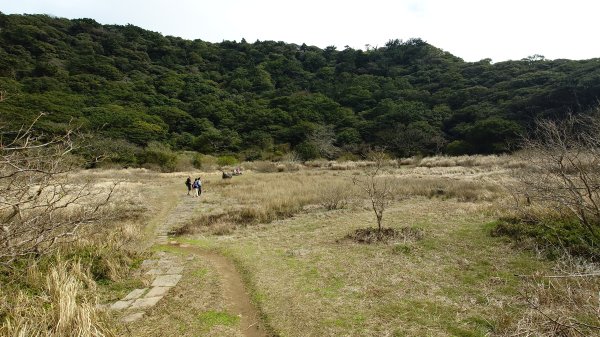 20260125 陽明山前後山健行(無極天元宮~山仔頂步道.向天池.向天山.面天山.二子坪)2997989