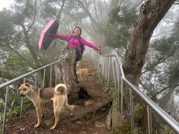 田中森林公園步道、赤水崎公園步道、花牆、龍過脈古蹟2750878