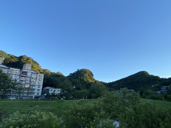 【四獸山 Short】虎豹象先行！獅山封閉中，等新步道開箱再相見2888877