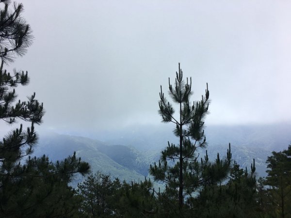 雪山東北主峰-2018/6/29~7/1828165