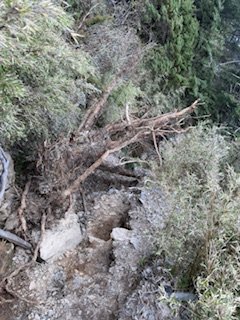 20250524 畢祿山單攻2796490