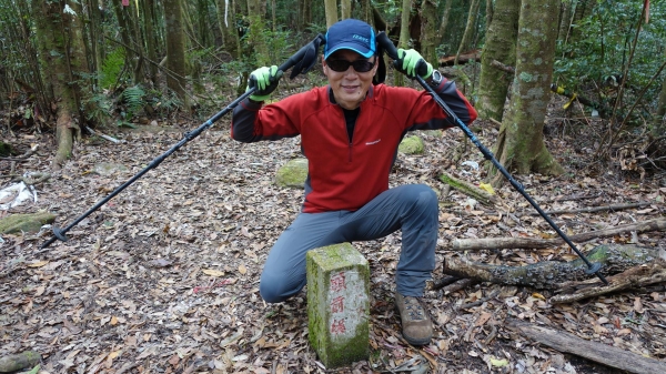 【新竹/五峰】戀戀柳杉林，比大鳥連稜縱走26377