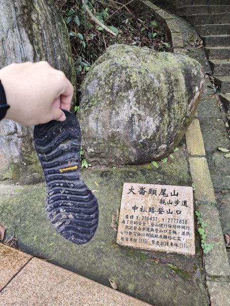 大崙頭尾山2872673