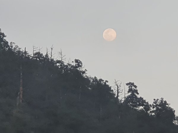 中級山-松蘿湖2888479