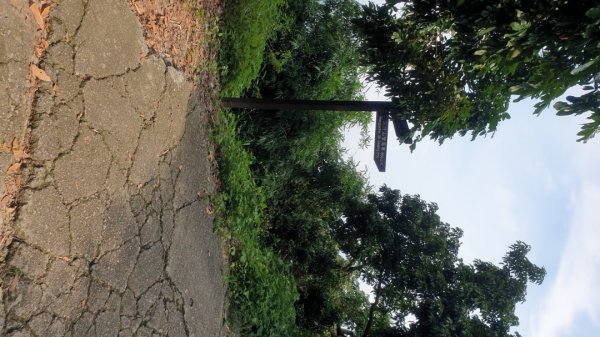 收集小百岳－台中太平三汀山1444031