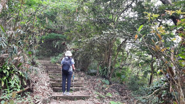 《嘉義》螺旋鐵道｜竹崎獨立山阿拔泉山逆O繞202504182765585