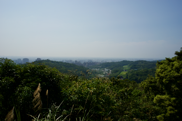 羊稠坑步道942726