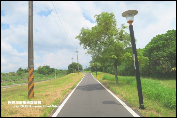 大溪左岸自行車道｜中新里韭菜花海超浪漫｜1101562