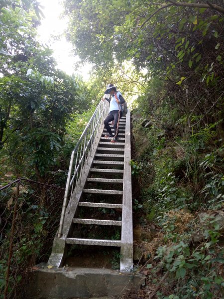 大社觀音山+大崗山盤龍峽谷步道1888862