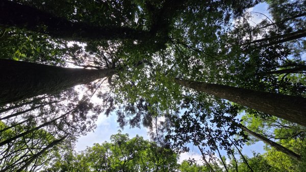 陽明山秘境，涼爽水圳步道，鹿堀坪古道，富士坪古道，夏日戲水與溯溪天堂，首選鹿堀坪（頭前溪）瀑布。2796253