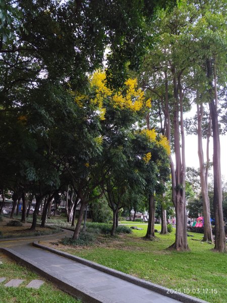 大港墘公園、花博公園圓山園區、臺北市立美術館【臺北健走趣】2907266