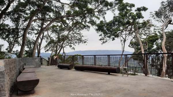 《台中》樹中有樹｜大坑步道6上7下O繞202502082708628