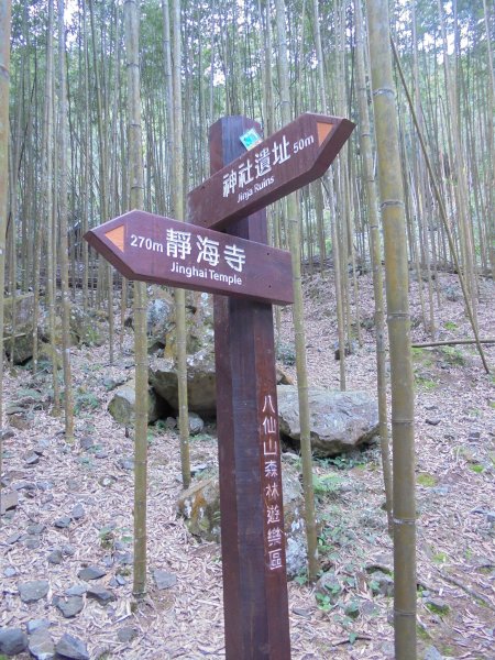 八仙山國家森林遊樂區步1200522