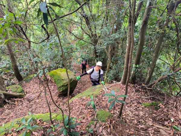 1120528 打鐵寮古道上白石山2165798