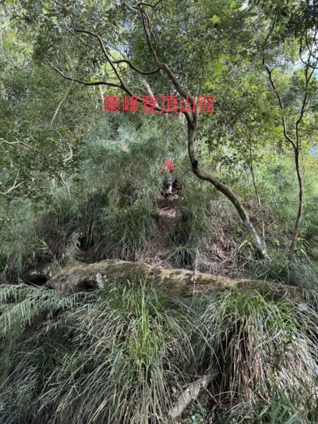 竹子尖山東峰2942295