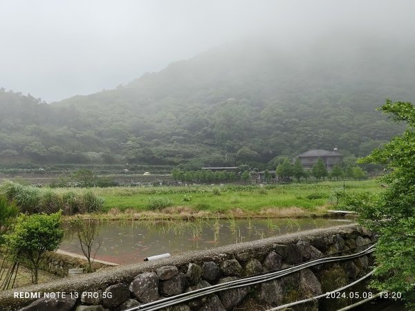 【臺北大縱走 3】小油坑遊客服務站、【臺北大縱走 2】頂湖海芋步道2499593