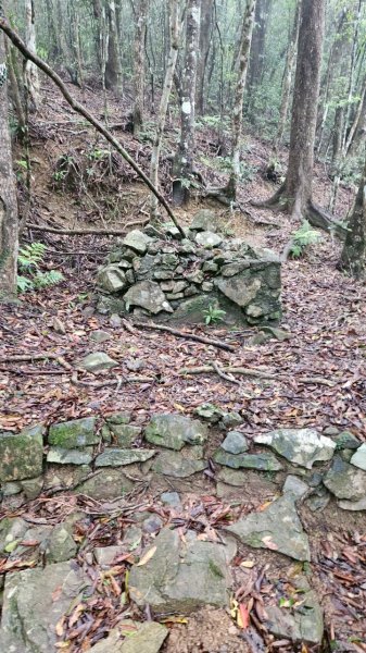 20250413浸水營古道2760333