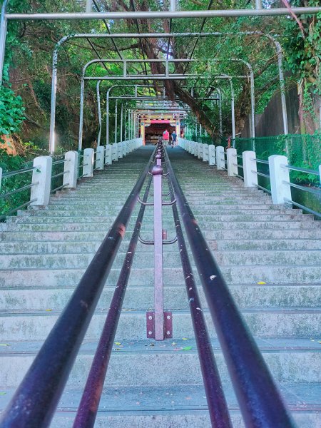 烘爐地登山步道1862879