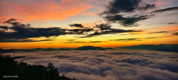跟著雲海達人山友追雲趣 #石碇後山 #雲海 #霞光 #日出 #火燒雲 7/312848496