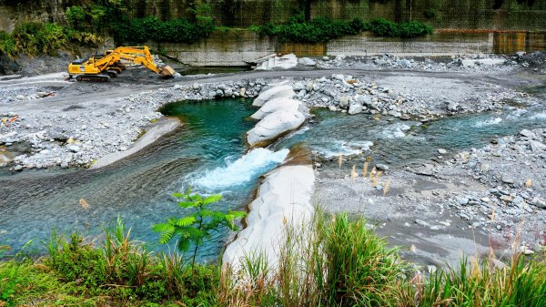 知本森林遊樂區3015137