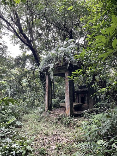 蛇子形古道2511208