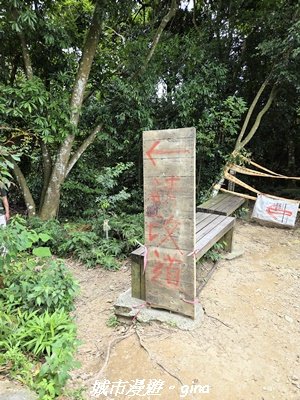 【台中北屯】大坑四號步道x頭嵙山3090952
