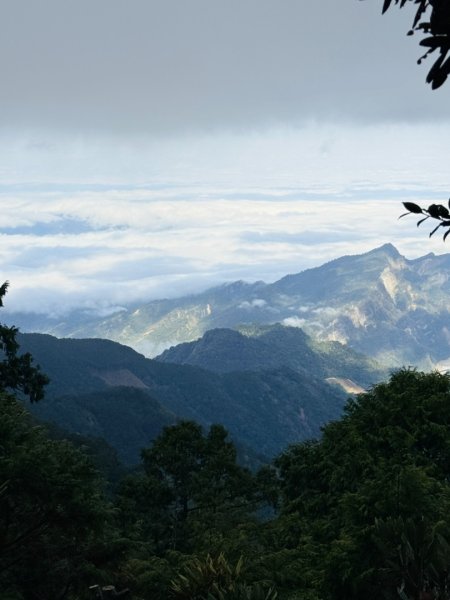 稍來山楓葉2973925