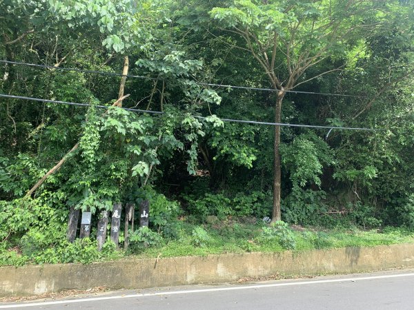 20240608高雄北旗尾南山-北旗尾山-旗尾山2523605