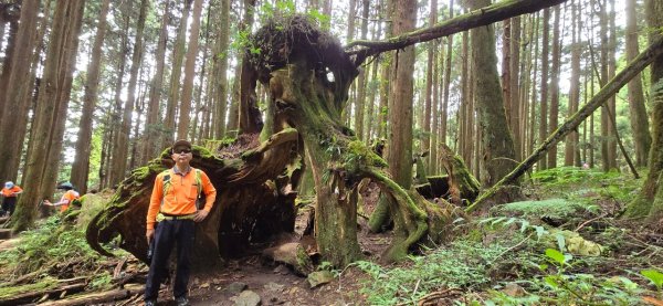 特富野_20240629封面