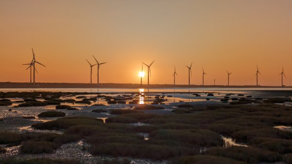 牛罵頭,梧棲出張所,高美濕地2334086