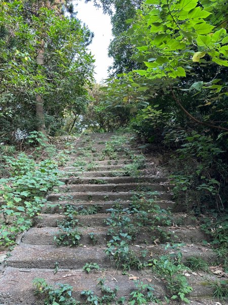 田中森林公園登山步道1889726