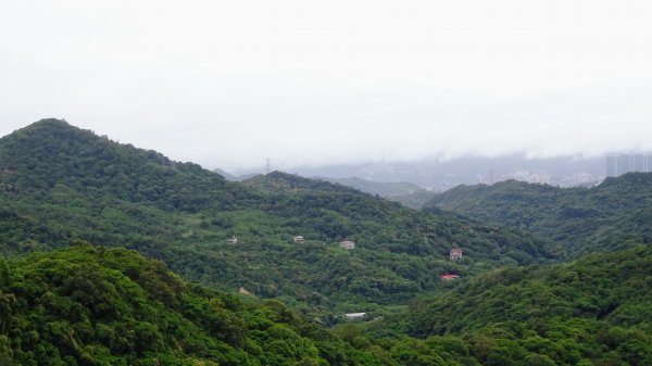 汐止八連路1716772