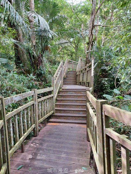 【苗栗南庄】沿途潺潺溪水聲。 蓬萊溪護魚步道2688923