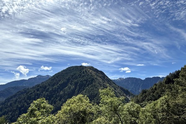 塔塔加楠梓仙溪林道 202506222827107