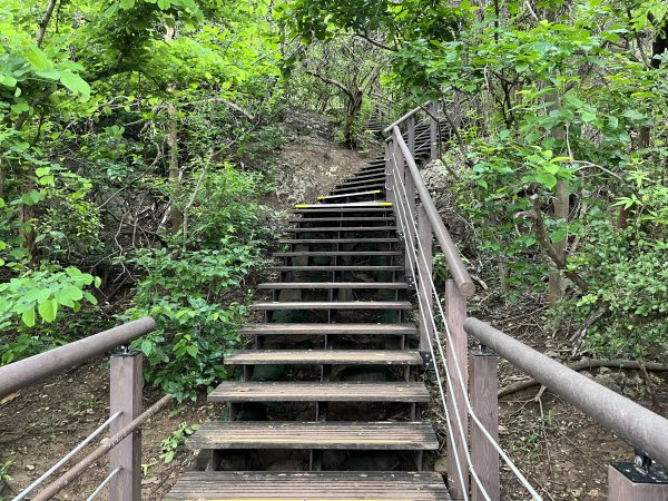 [阿龍尋寶任務]2023_0617_柴山步道(北柴山)2187907