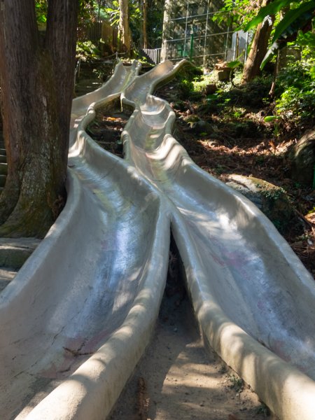 鳳凰谷鳥園2961144