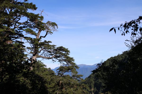 合歡溪步道健行174454