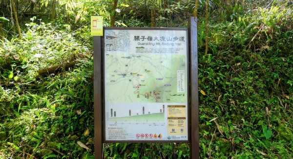 《蝶戀花。錫葉藤盛放》2735267