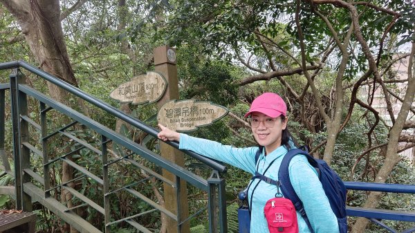 (姨婆趴趴走)第五十二集:新北新店攀登和美山及灣潭山2761085