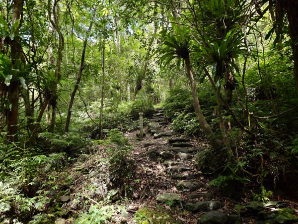 [淡蘭古道] 2026_0524 南路第四段_四堵古道(中)-石柱3069956